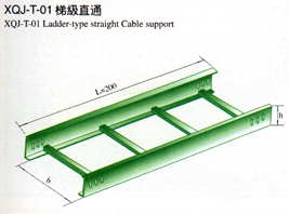 XQJ-T-01●梯●[Tī]級直通